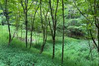 Land for sale in Clay County, North Carolina