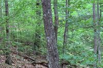 Land for sale in Union County, Georgia