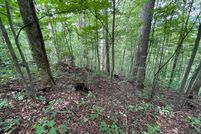 Land for sale in Towns County, Georgia