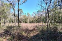 Undeveloped Land for sale in Citrus County, Florida