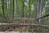 Land for sale in Charlevoix County, Michigan