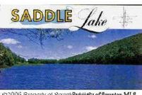 Undeveloped Land in Wyoming County, Pennsylvania