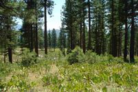 Land for sale in Plumas County, California