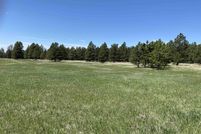 Undeveloped Land for sale in Crook County, Wyoming