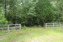 Land for sale in Colquitt County, Georgia