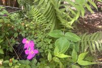 Land for sale in Hawaii County, Hawaii