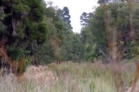 Land for sale in Hawaii County, Hawaii