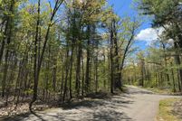 Undeveloped Land for sale in Otsego County, Michigan