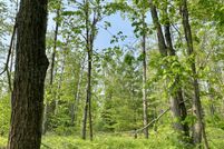 Land for sale in Otsego County, Michigan