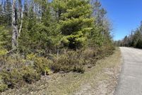 Undeveloped Land for sale in Presque Isle County, Michigan