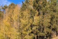 Land for sale in Teller County, Colorado