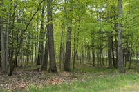 Land for sale in Emmet County, Michigan