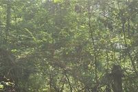 Land for sale in Russell County, Alabama