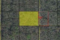 Land for sale in Flagler County, Florida