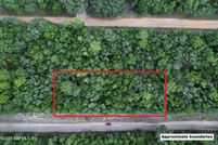 Land for sale in Putnam County, Florida