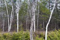 Recreational Property for sale in Presque Isle County, Michigan