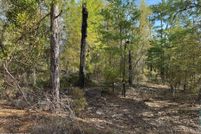 Land for sale in Clay County, Florida