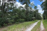 Land for sale in Levy County, Florida