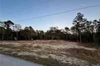 Undeveloped Land for sale in Marion County, Florida