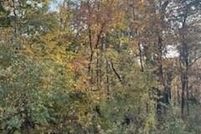 Undeveloped Land for sale in Guthrie County, Iowa