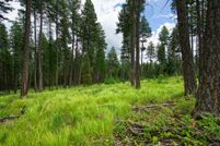 Farm and Ranch for sale in Flathead County, Montana