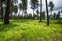 Undeveloped Land for sale in Flathead County, Montana