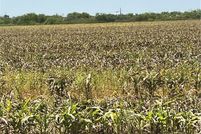 Land for sale in San Patricio County, Texas