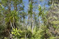 Undeveloped Land for sale in Hawaii County, Hawaii