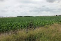 Land for sale in Nueces County, Texas