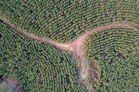 Land for sale in Buckingham County, Virginia