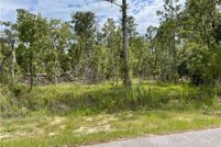 Timberland Property for sale in Marion County, Florida