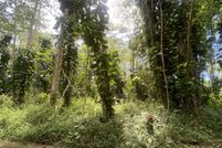 Land for sale in Hawaii County, Hawaii