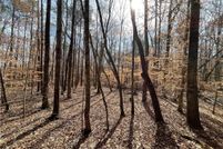 Land for sale in Lee County, Alabama