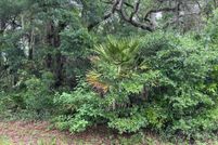 Undeveloped Land for sale in Citrus County, Florida