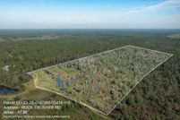 Undeveloped Land for sale in Wakulla County, Florida