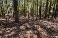 Land for sale in Tallapoosa County, Alabama