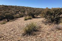 Undeveloped Land for sale in Grant County, New Mexico