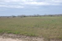 Land for sale in Kleberg County, Texas