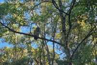 Land for sale in Citrus County, Florida