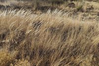 Land for sale in Grant County, New Mexico