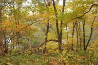 Undeveloped Land for sale in Madison County, Iowa