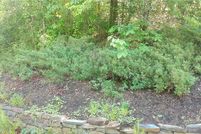 Undeveloped Land for sale in Oconee County, South Carolina