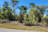 Undeveloped Land for sale in Citrus County, Florida