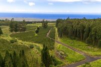Homesite for sale in Hawaii County, Hawaii