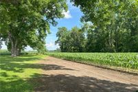 Land for sale in Robeson County, North Carolina