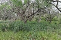 Farm and Ranch for sale in Live Oak County, Texas