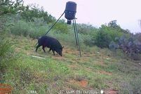 Land for sale in Duval County, Texas