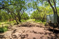 Undeveloped Land for sale in Live Oak County, Texas