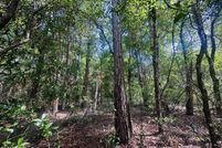 Land for sale in Clay County, Florida