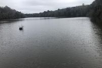 Land for sale in Leon County, Florida